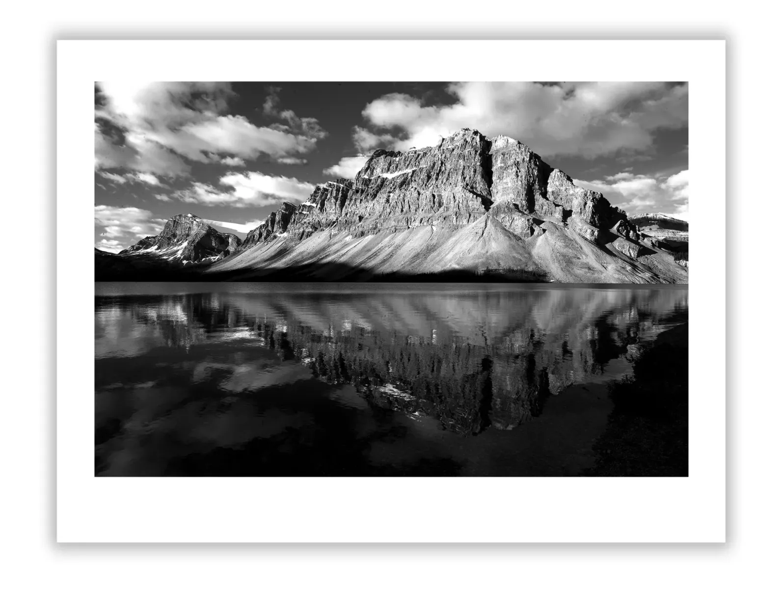 Dorothea Lange: Portraits That Defined American Hardship