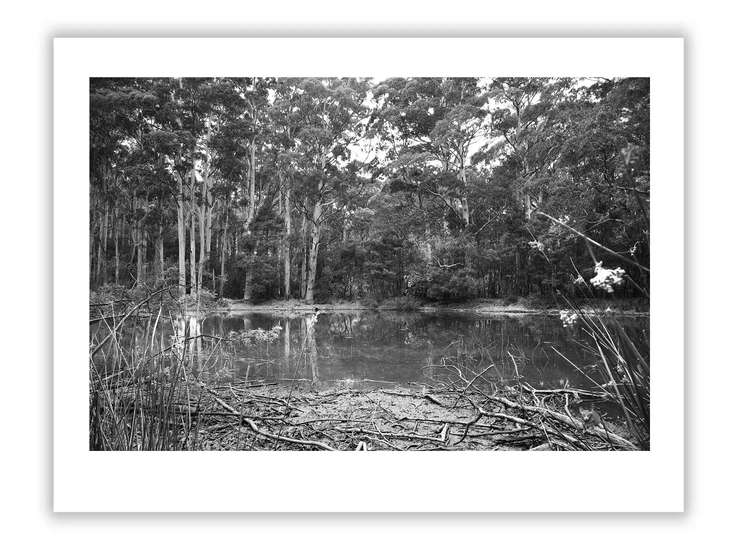 Henri Cartier-Bresson: Mastermind of the Decisive Moment