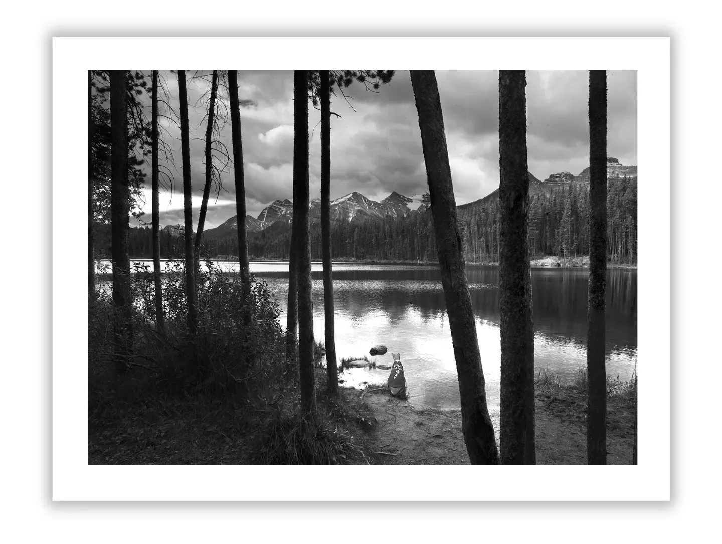 Explore Ansel Adams' legendary career, photography style, technical methods, and key lessons that continue to inspire generations of aspiring photographers.