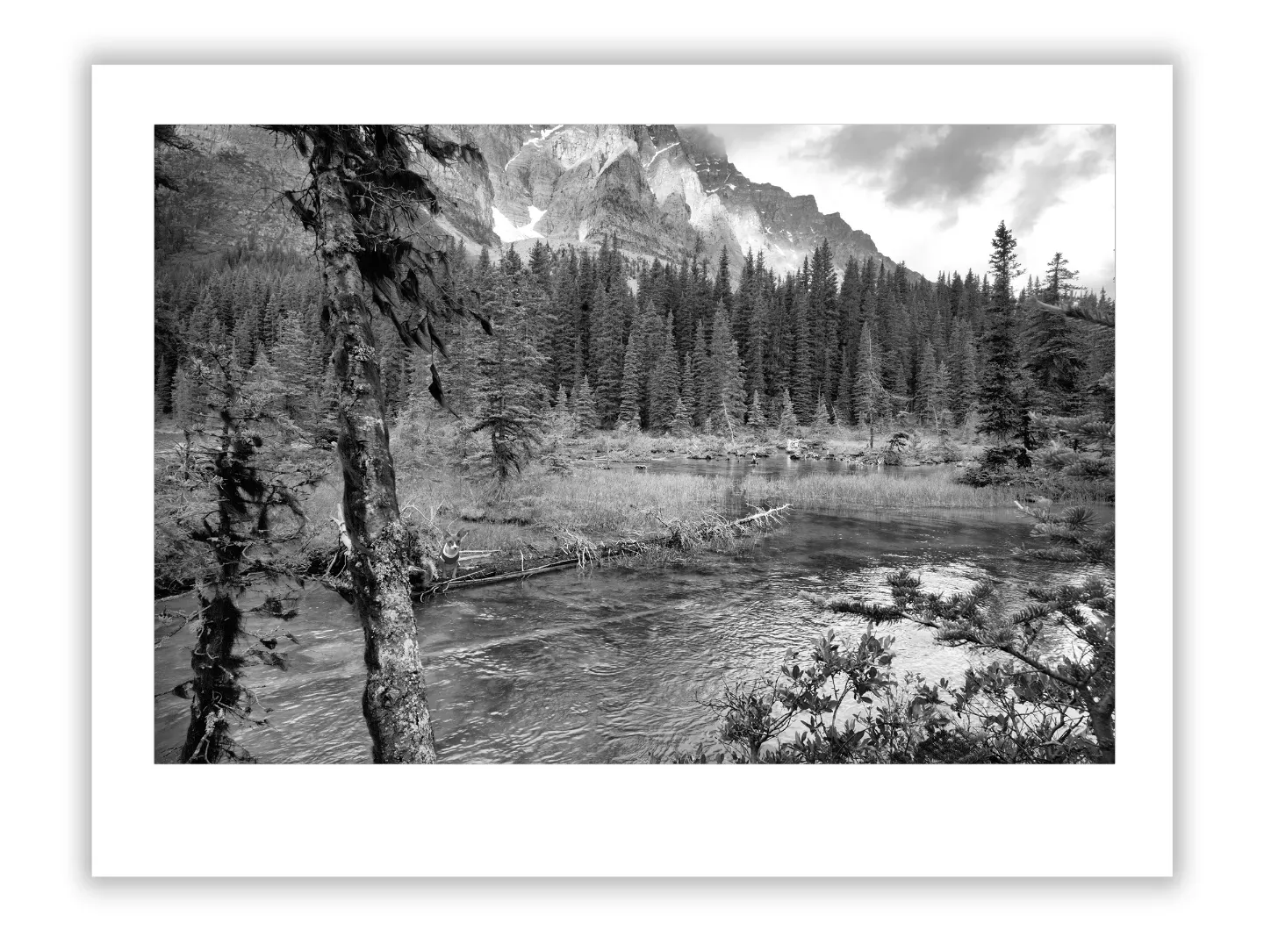 Helmut Newton: Provocative Glamour in Fashion Photography