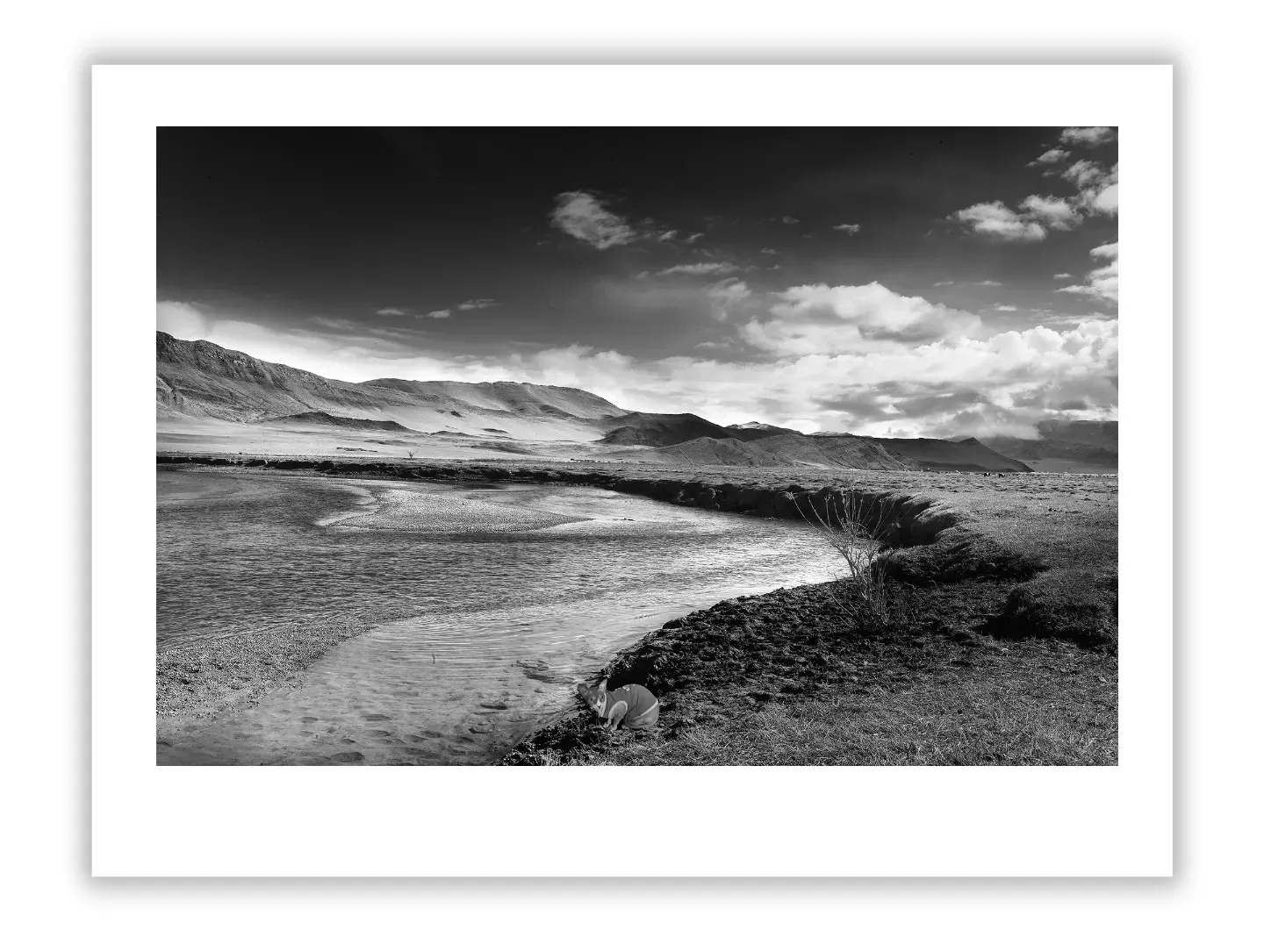 Man Ray: Surrealist Vision and Experimental Photography