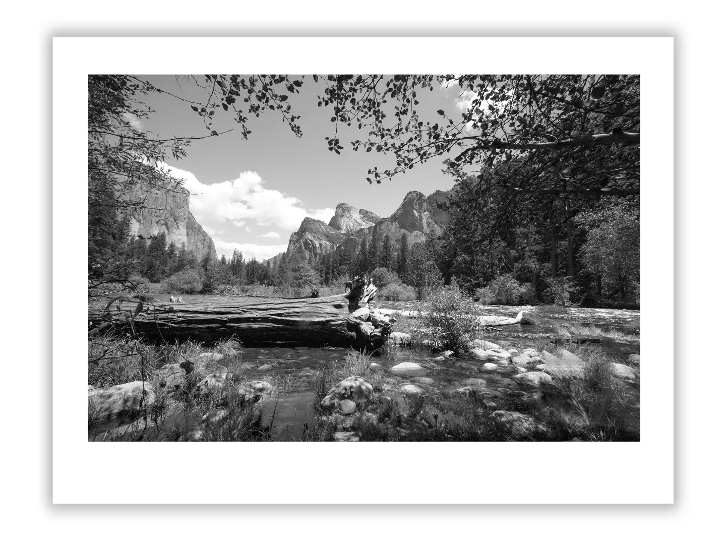 Art Scam Case Studies 201–250: Celebrity & Elite Targets Part 5