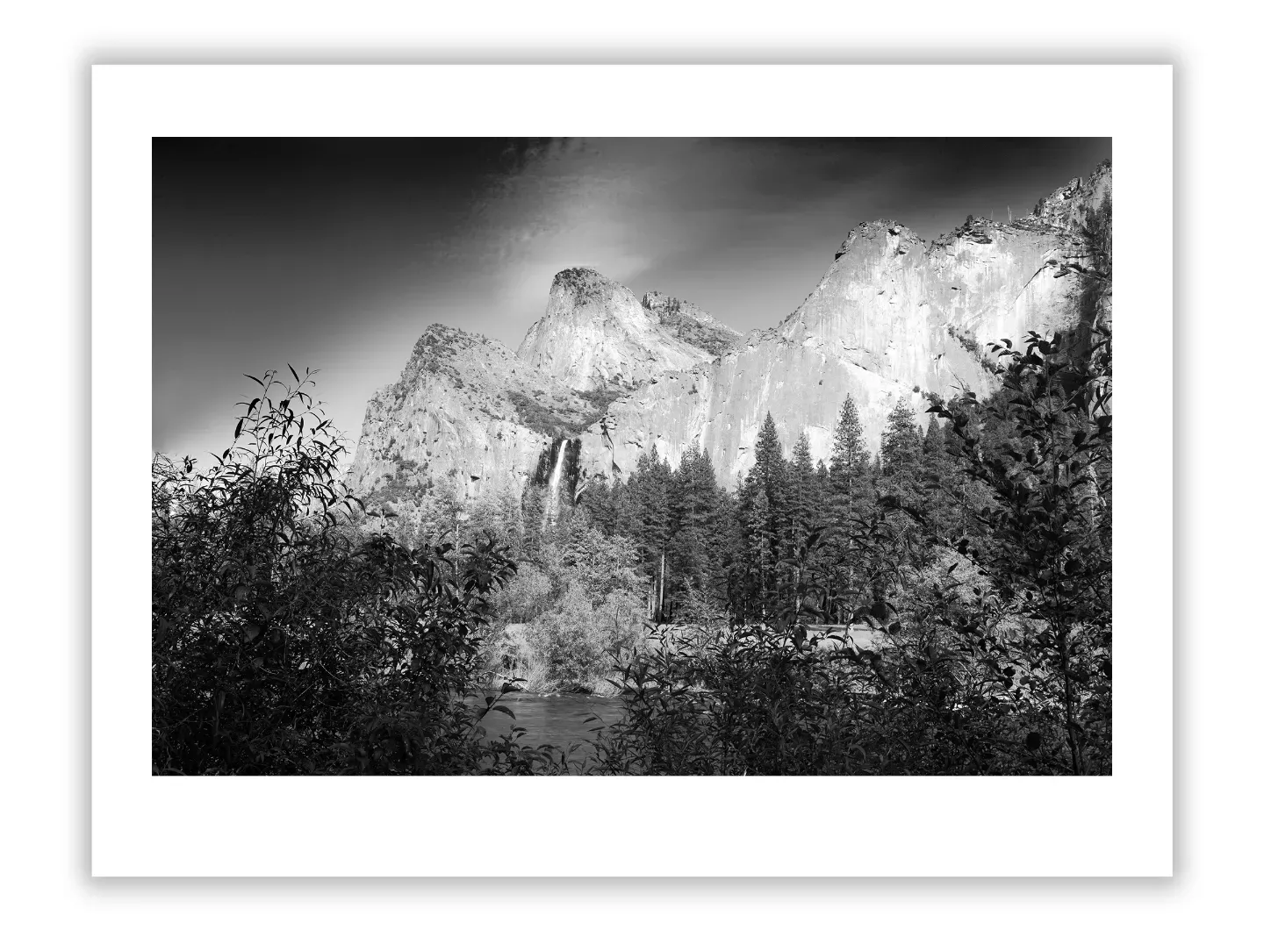 healthcare facility arts for sale