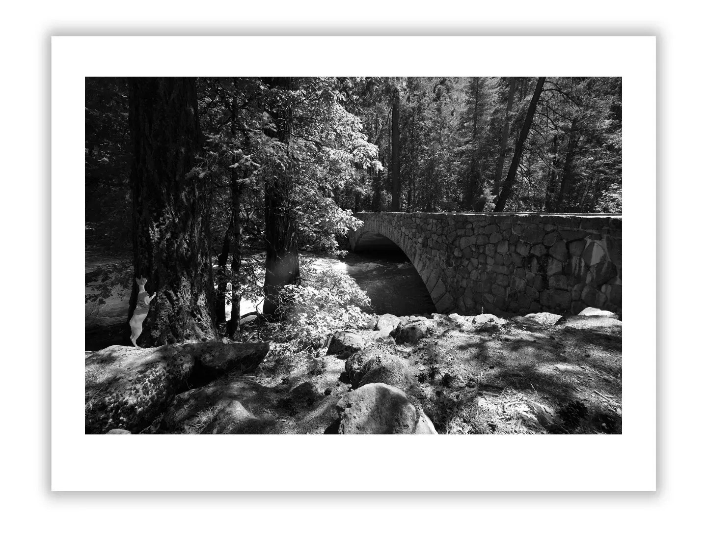 Richard Prince: Influence & Lessons for Photographers