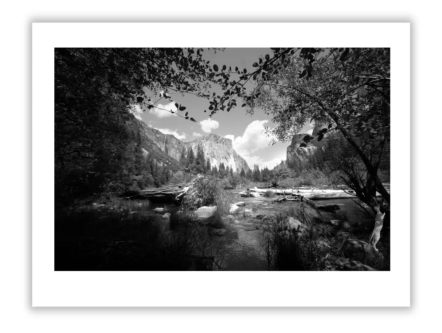 Iconic Landscape Photographers