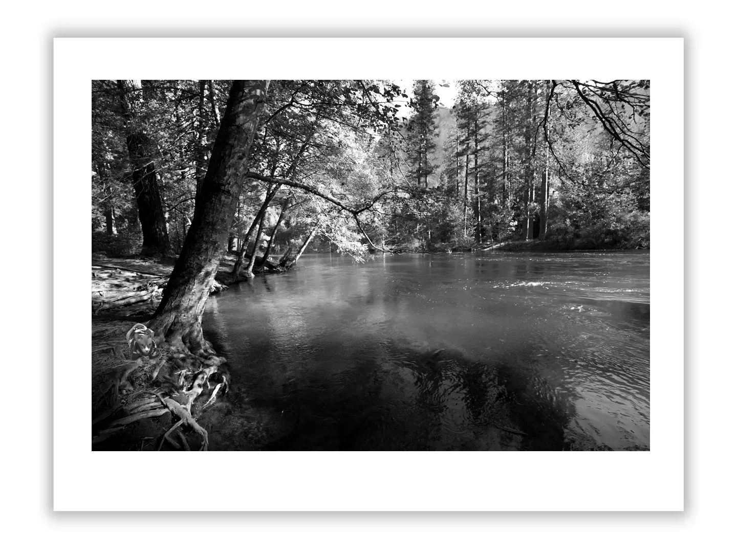 Cindy Sherman: Visionary Art & Lessons for Photographers