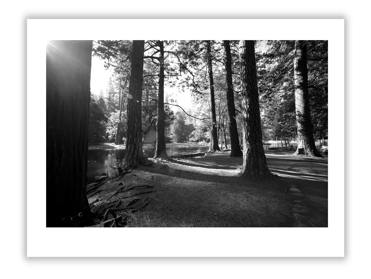 Andreas Gursky : Visionary Contemporary Photographer