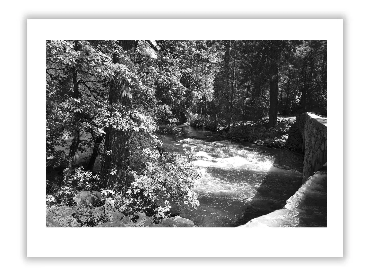 Contemporary Photo Market: Trends and Records