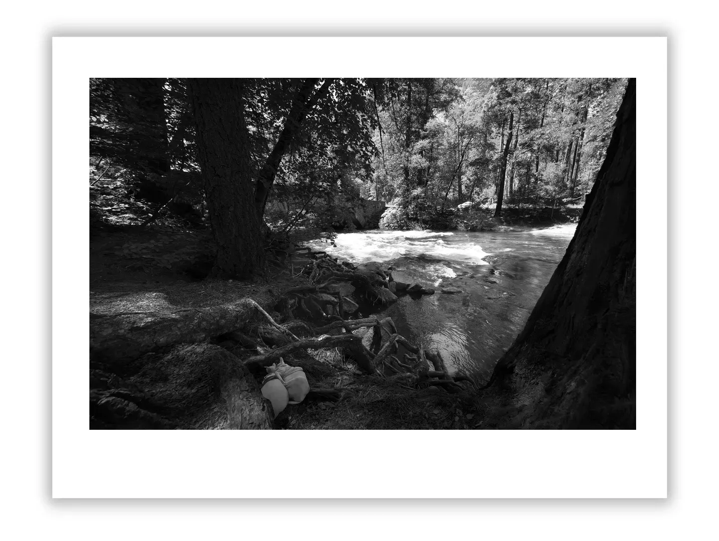 Fine Art Photo Icons: Luxury Market Sales Revealed