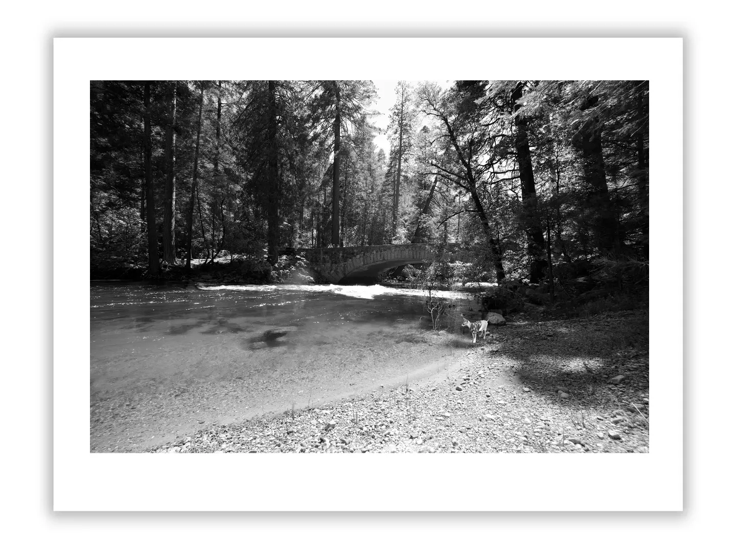 Spotting Blue-Chip Photographers: Collector’s Guide