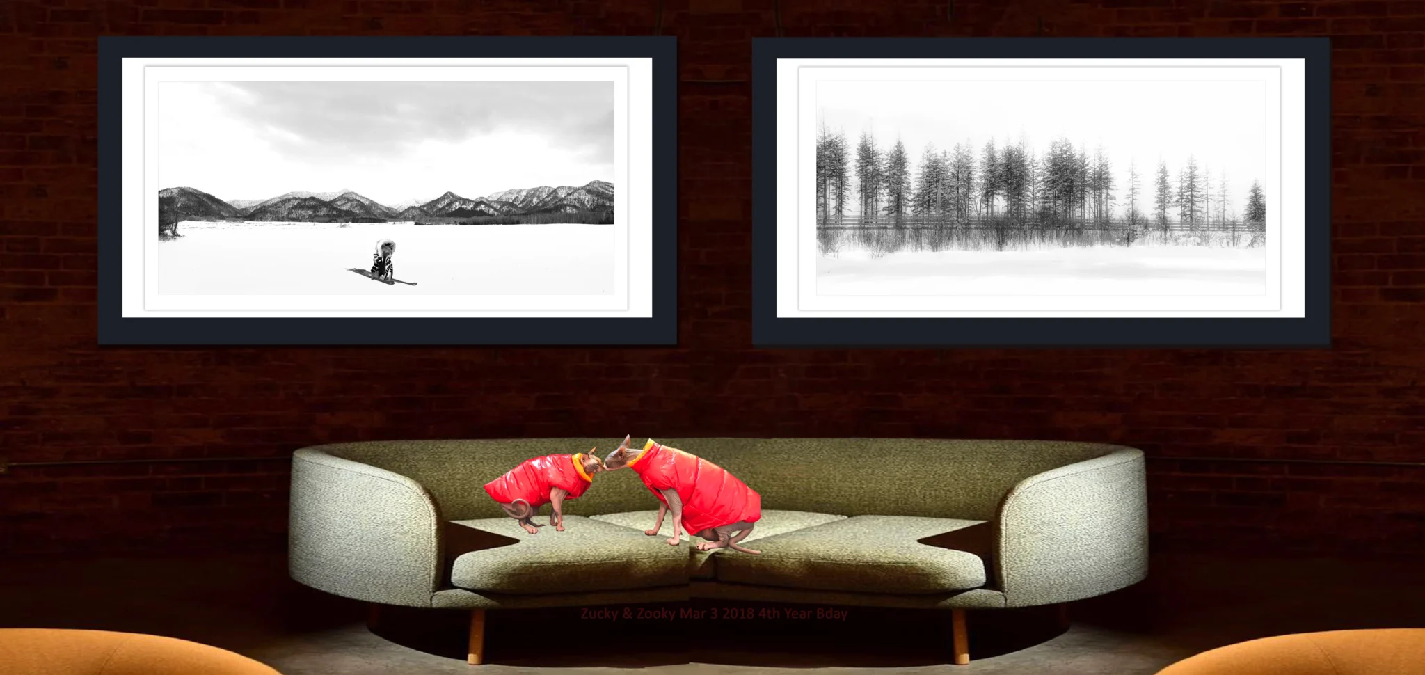 Black White Winter Photo, Winter Black and White Photography, Shop Black and WhiteWinter and Snowscapes Landscape Photography Print