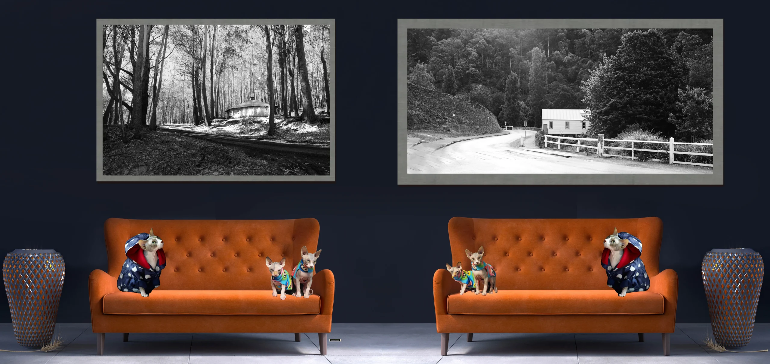 Black and White Cabin Life and Shack Photos for sale, Fine Art Photography with sphynx Cats