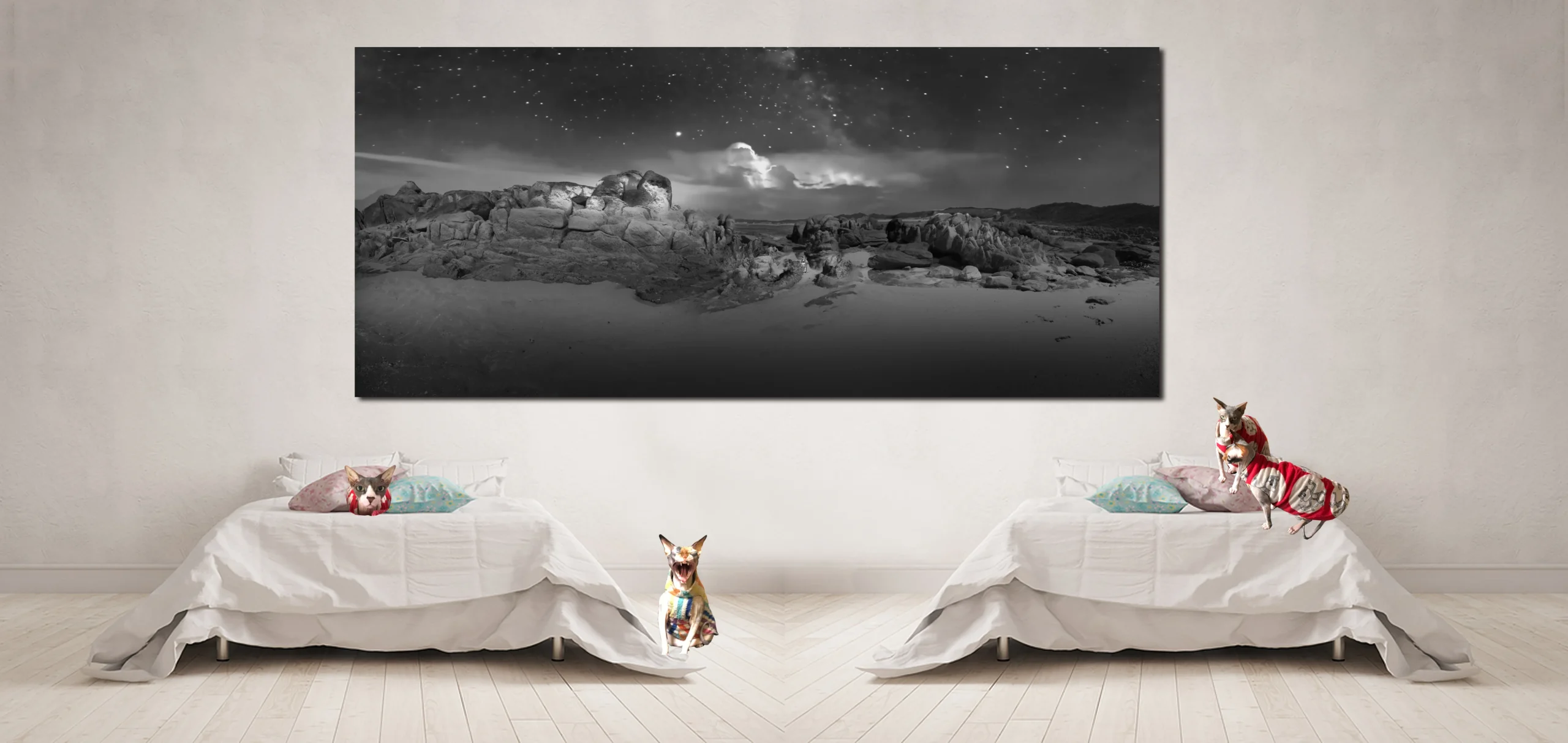 Black and White Foreshore Coastline Photos for sale , Fine Art Photography with sphynx Cats