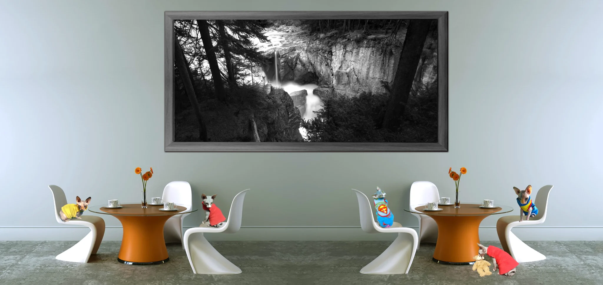 Black and White Waterfalls, Creeks and Wetland Photos, Fine Art Photography with sphynx Cats