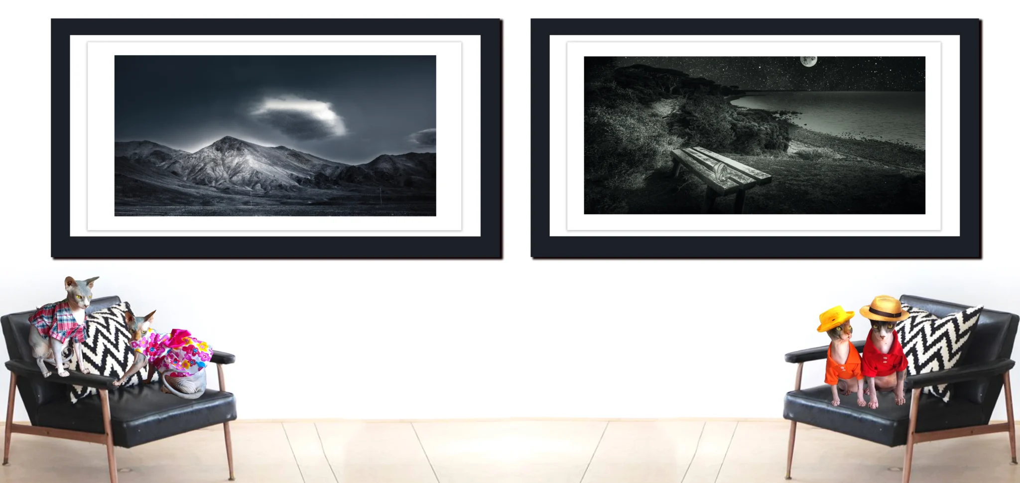 Dark, Moody and Mystical Landscape Photos, Fine Art Photography with sphynx Cats