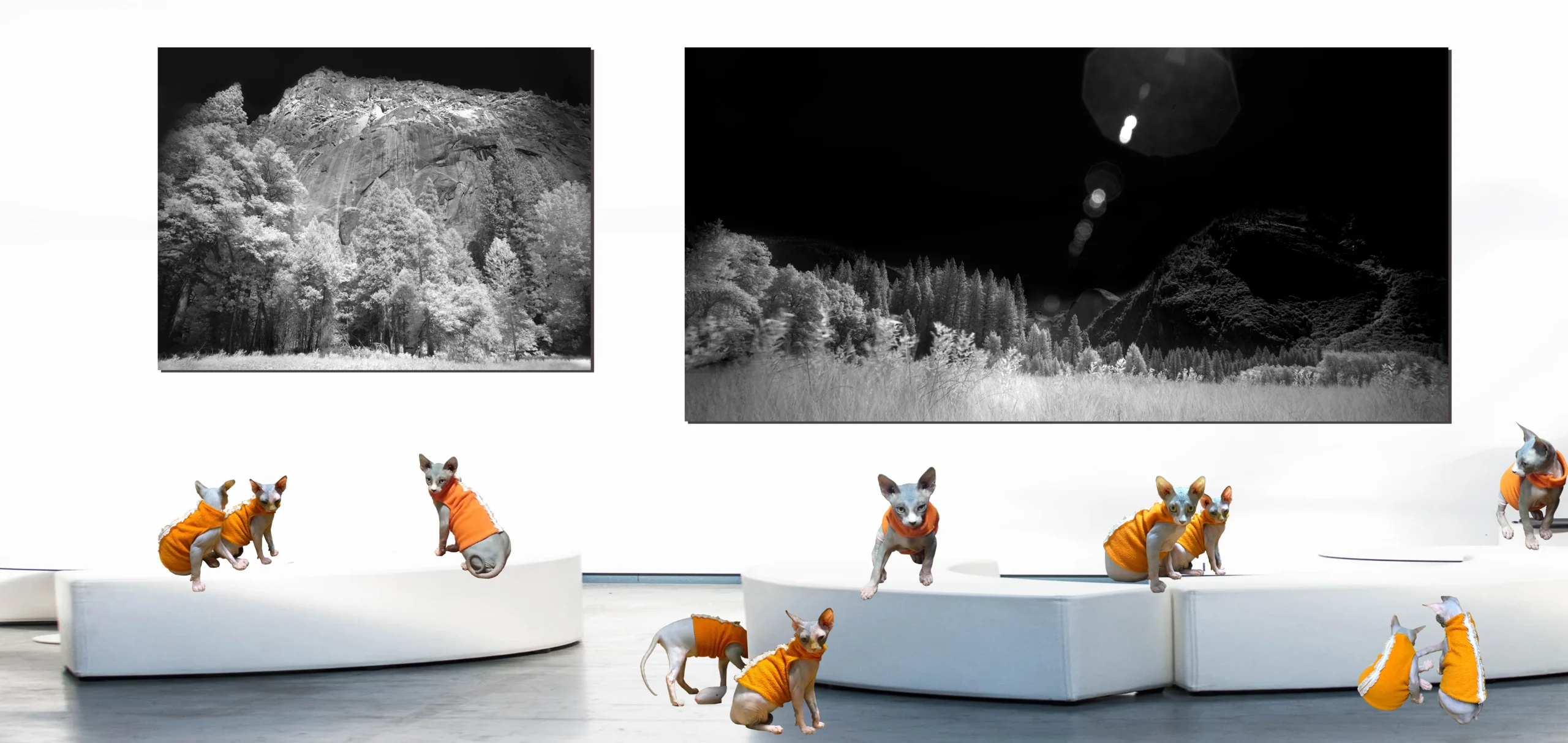 Infrared Landscape and Waterscape Fine Art Photographs for sale, Fine Art Black & White Infrared Photography, Infrared