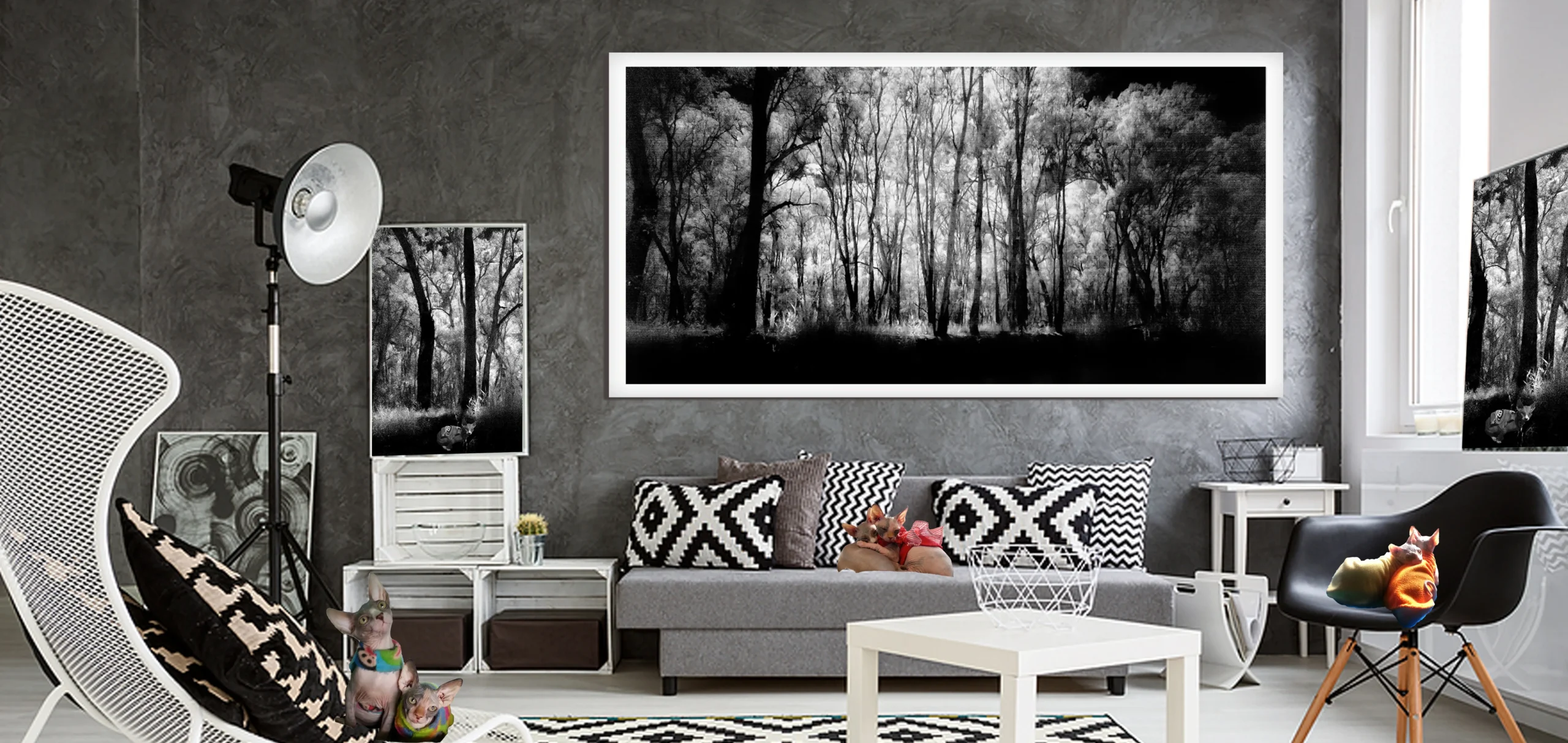 Infrared - The Surreal Landscape, Infrared landscapes photos, Mystical Infrared Landscapes Photos for sale, Mystical landscapes