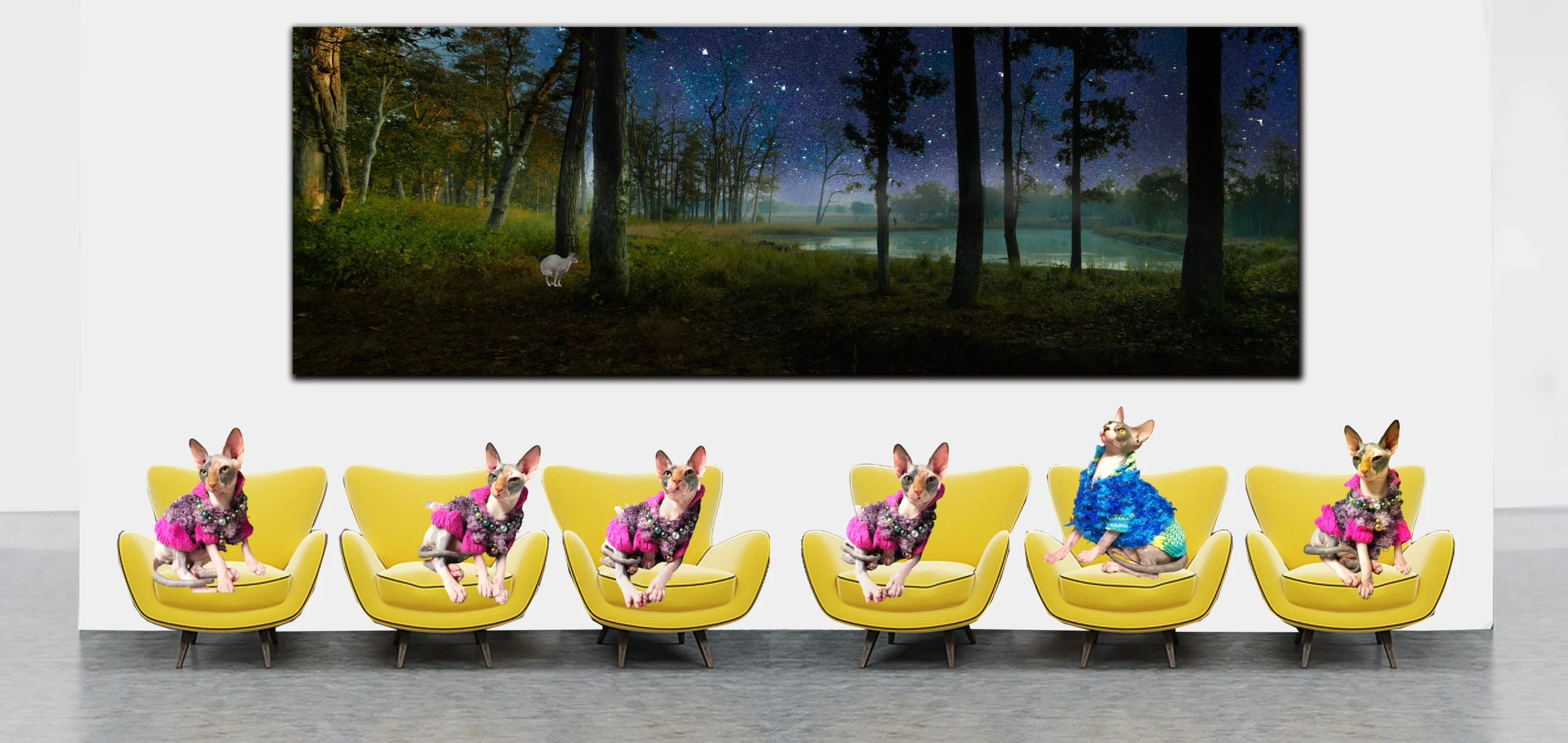 Unique Art Gallery: Heart & Soul Whisperer Art gallery - Where Art Meets the Unexpected.