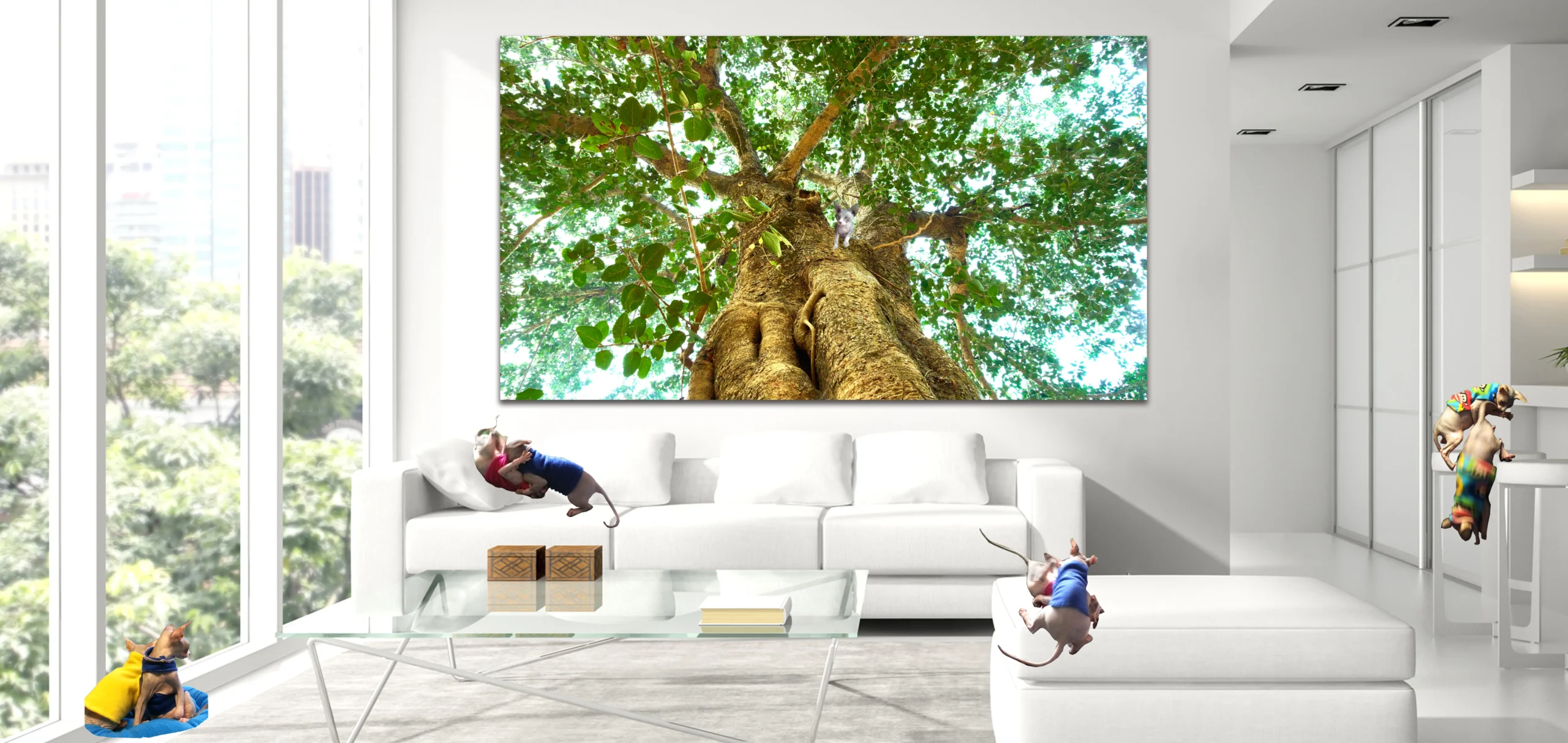 Healing Colours & Art for Every Room in the Hospital