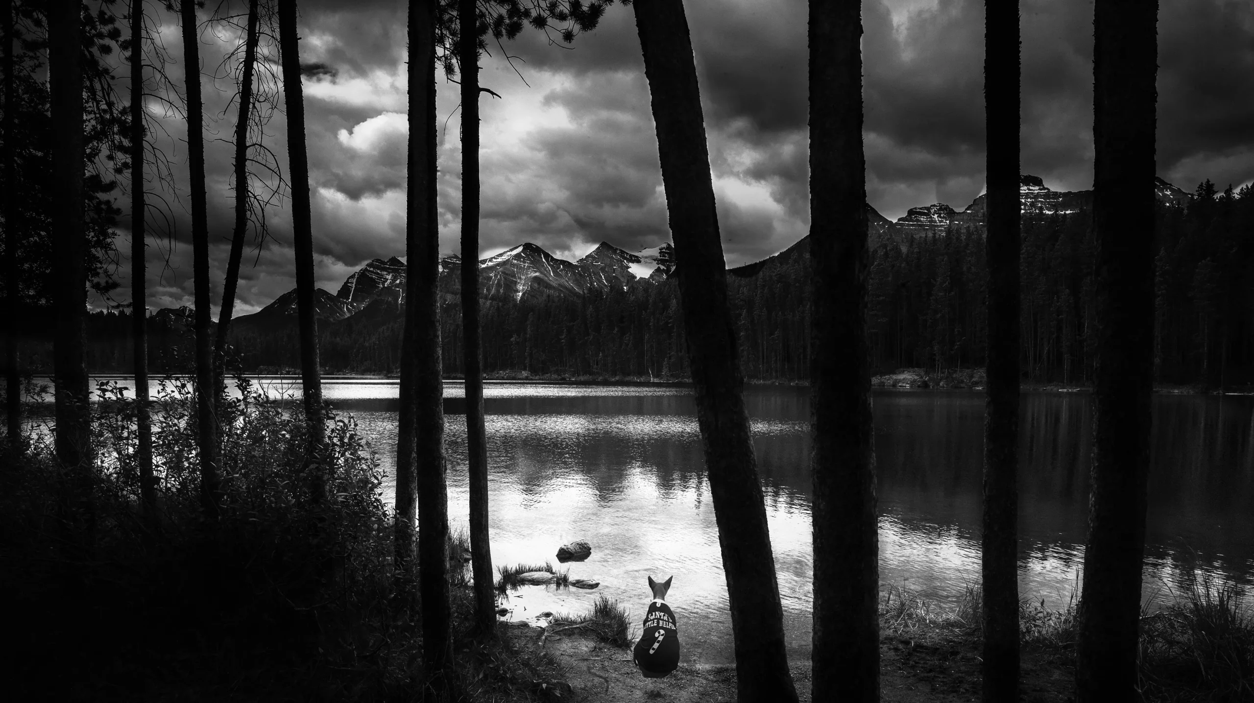 The Making of Heart and Soul Whisperer –Heartfelt art story