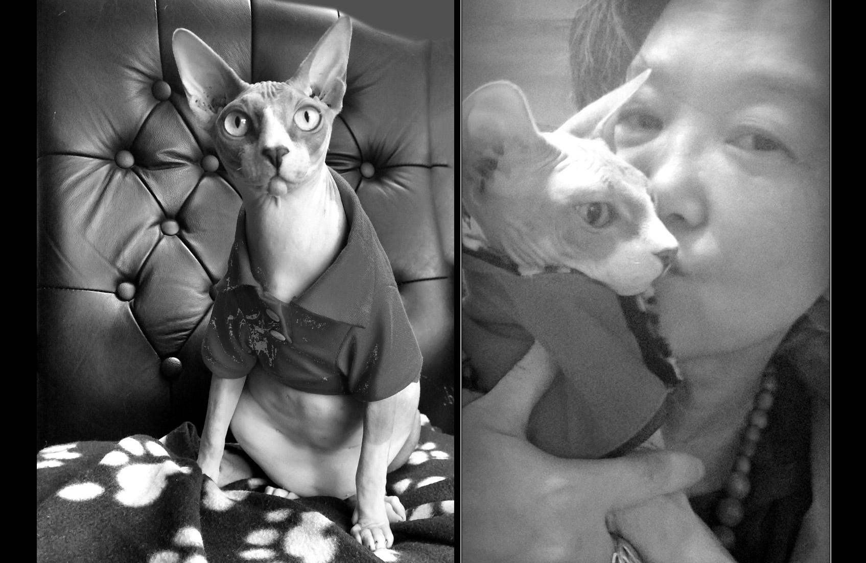 journey of grief, Poetry, Pet Poems, Grief Poems, Pet Loss Poem, Pet Grief Poem, Pet Memorial Poems, Animal Grief Poem, Coping with Pet Loss Poem, Coping with Pet Loss Poem, Mourning Pets Poem,