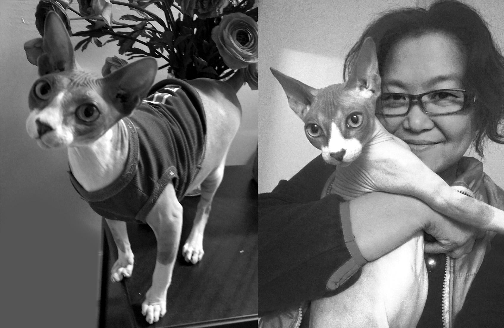 the eternal bond poem, journey of grief, Poetry, Pet Poems, Grief Poems, Pet Loss Poem, Pet Grief Poem, Pet Memorial Poems, Animal Grief Poem, Coping with Pet Loss Poem, Coping with Pet Loss Poem, Mourning Pets Poem,