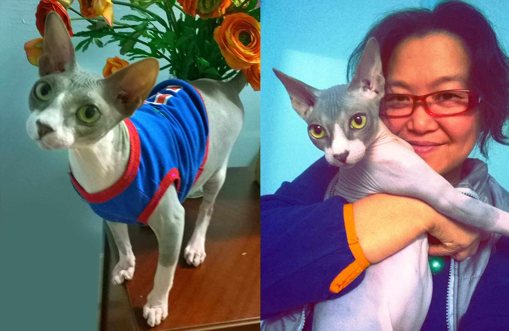 the eternal bond poem, the eternal bond poem, journey of grief, Poetry, Pet Poems, Grief Poems, Pet Loss Poem, Pet Grief Poem, Pet Memorial Poems, Animal Grief Poem, Coping with Pet Loss Poem, Coping with Pet Loss Poem, Mourning Pets Poem,