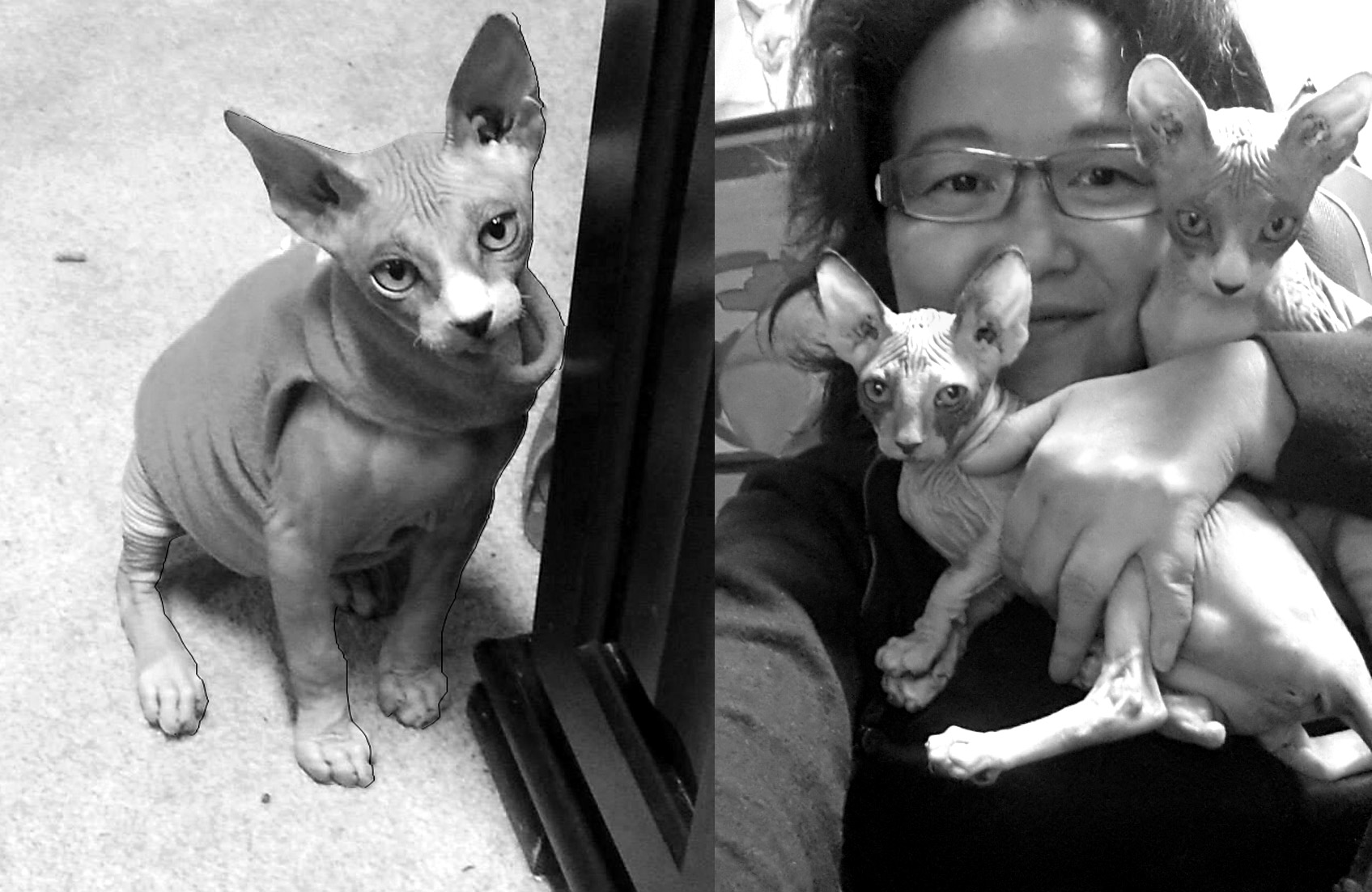 Poem for Pet loss, Poetry, Pet Poems, Grief Poems, Pet Loss Poem, Pet Grief Poem, Pet Memorial Poems, Animal Grief Poem, Coping with Pet Loss Poem, Coping with Pet Loss Poem, Mourning Pets Poem,