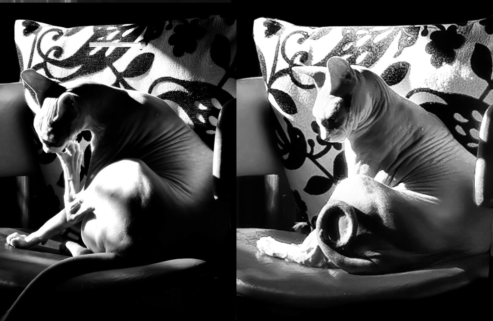 Numerology and Art, numerology and art, spiritual art gallery, sacred number 8, art gallery inspired by numerology, meaning of number 8 in pricing, art and eternal love, numerology in business, spiritual meaning in pricing, Heart & Soul Whisperer gallery, sacred pricing structure,symbolic pricing, spiritual business, sacred numbers, number 8 meaning, soul-inspired art, art and legacy, divine design, heart-centered gallery, sacred art practices