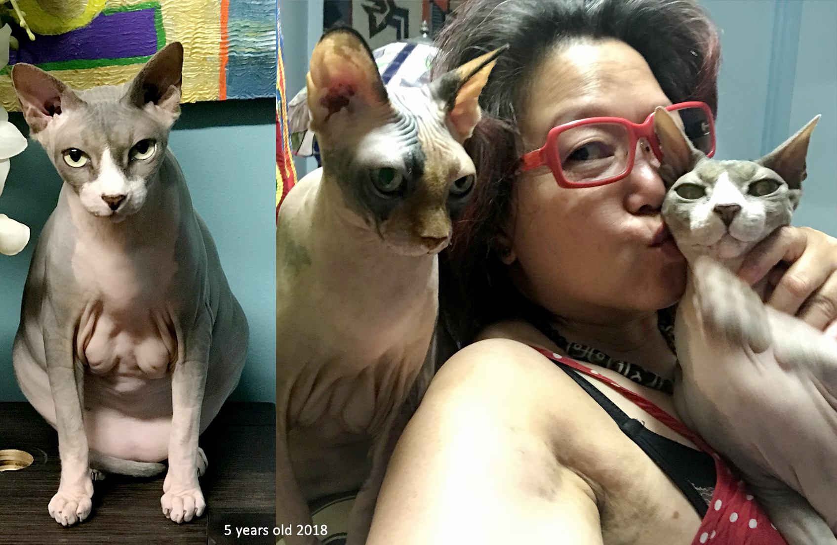 Pet Memorial Photography, Poetry, Pet Poems, Grief Poems, Pet Loss Poem, Pet Grief Poem, Pet Memorial Poems, Animal Grief Poem, Coping with Pet Loss Poem, Coping with Pet Loss Poem, Mourning Pets Poem,