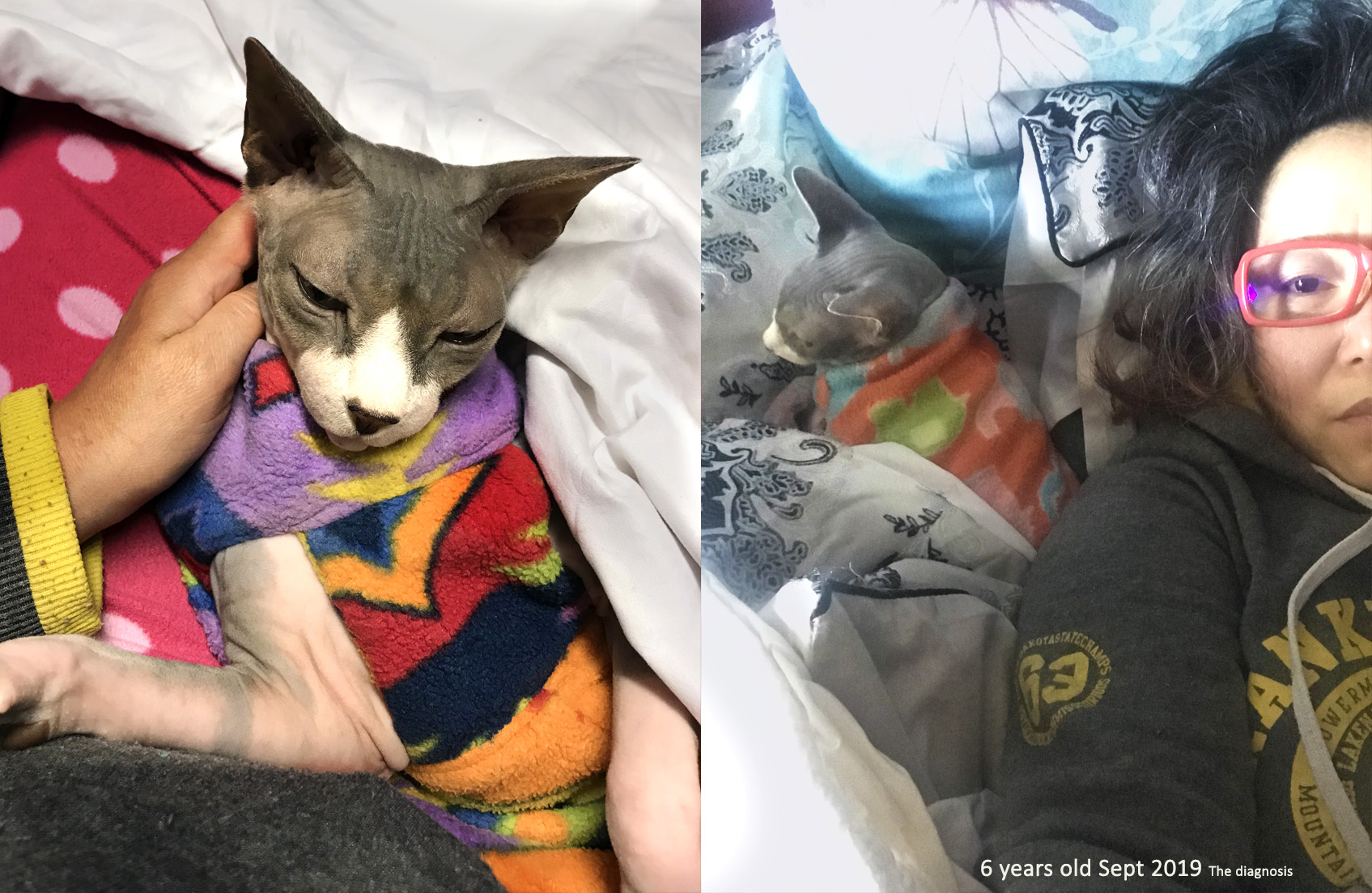 Waiting Across Lifetimes A Poem of Love 6 years old 2019 the diagnoiss