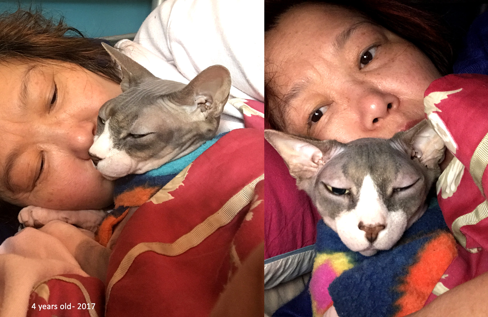 Epitaph to a Sphynx Cat Poem, Poetry, Pet Poems, Grief Poems, Pet Loss Poem, Pet Grief Poem, Pet Memorial Poems, Animal Grief Poem, Coping with Pet Loss Poem, Coping with Pet Loss Poem, Mourning Pets Poem,