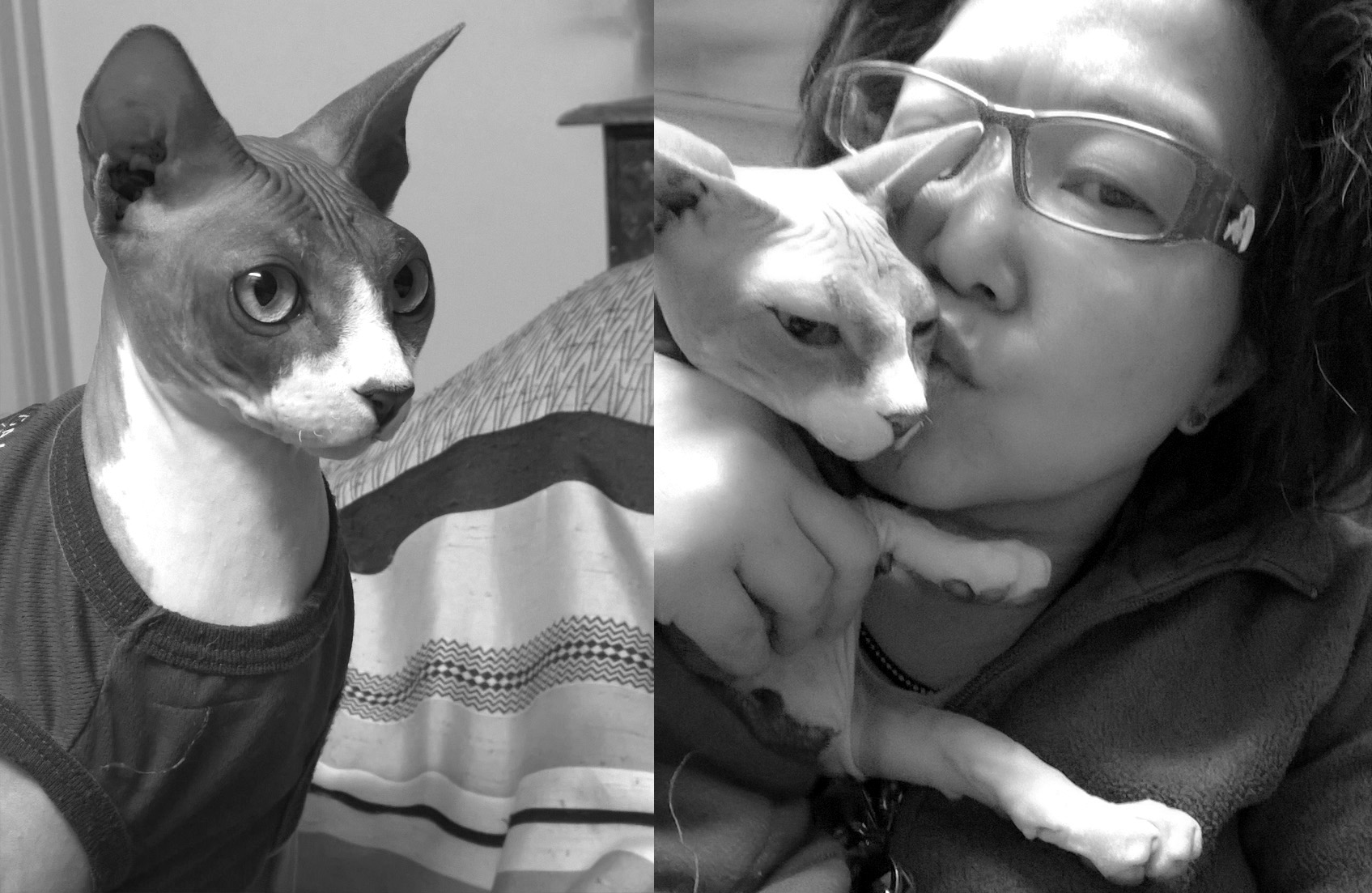 Dr Zenaidy Castro, General and Cosmetic Dentist in Melbourne Australia, Black and White Photographer. Abstract Artist, Australian woman Photographer, Art and Dentistry, Photography and Design, Creative Professionals, Painter-Photographers, Inspiring story of Female Entrepreneurs,