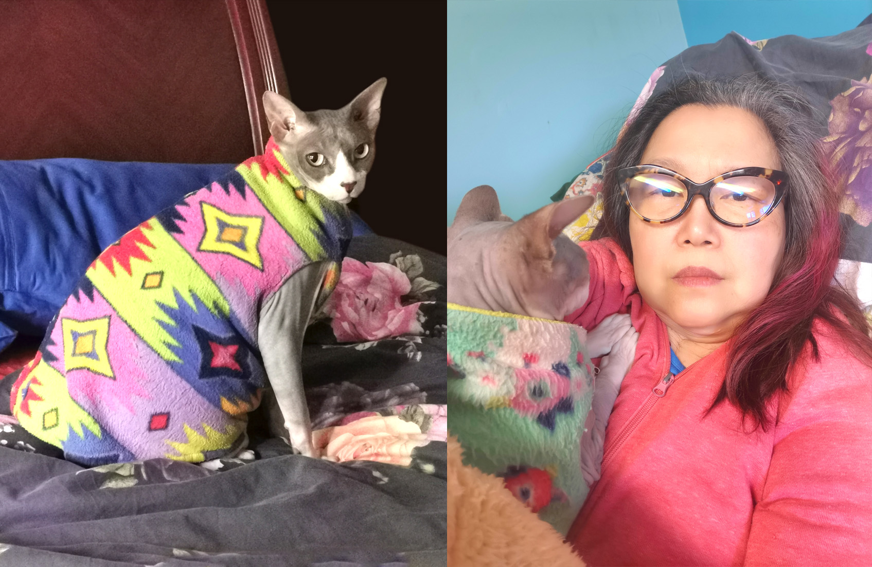 Healing Poems for the Loss of a Cat, Pet Grief Poems, Poetry, Pet Poems, Grief Poems, Pet Loss Poem, Pet Grief Poem, Pet Memorial Poems, Animal Grief Poem, Coping with Pet Loss Poem, Coping with Pet Loss Poem, Mourning Pets Poem,