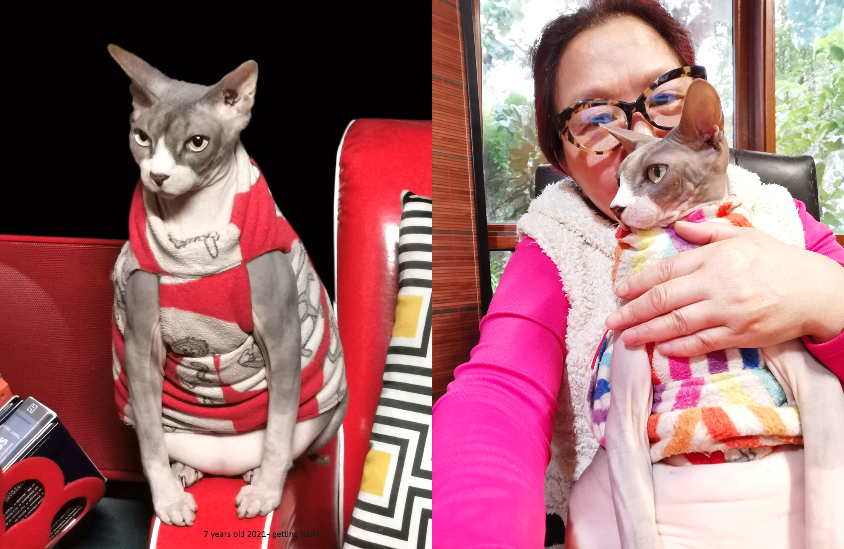 Poems on Loss of a Cat, Farewell Poem from a Cat, Poetry, Pet Poems, Grief Poems, Pet Loss Poem, Pet Grief Poem, Pet Memorial Poems, Animal Grief Poem, Coping with Pet Loss Poem, Coping with Pet Loss Poem, Mourning Pets Poem,