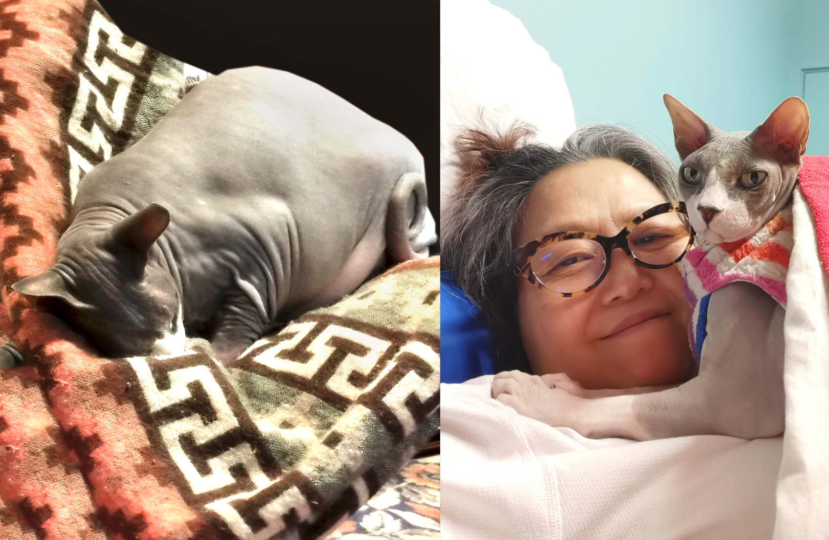 Poems about Death of a Pet, Inspirational Poems about Death of a Pet, Poetry, Pet Poems, Grief Poems, Pet Loss Poem, Pet Grief Poem, Pet Memorial Poems, Animal Grief Poem, Coping with Pet Loss Poem, Coping with Pet Loss Poem, Mourning Pets Poem,