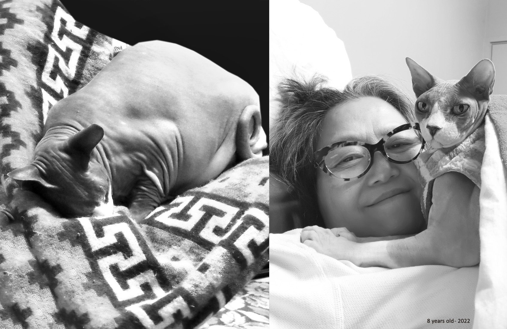 Poems about Death of a Pet, Inspirational Poems about Death of a Pet, Poetry, Pet Poems, Grief Poems, Pet Loss Poem, Pet Grief Poem, Pet Memorial Poems, Animal Grief Poem, Coping with Pet Loss Poem, Coping with Pet Loss Poem, Mourning Pets Poem,