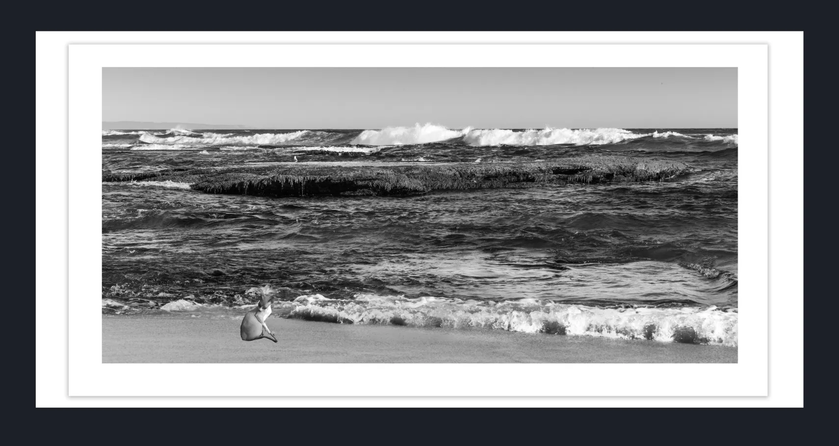 Discover Life Lessons from Ocean, Tides & Seascapes