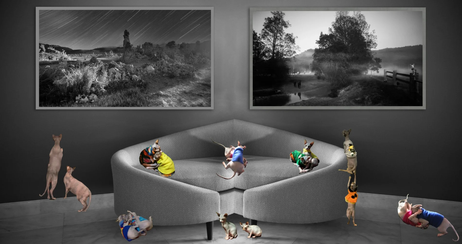 Dramatic black and white wilderness photography with deep shadows and high contrast.