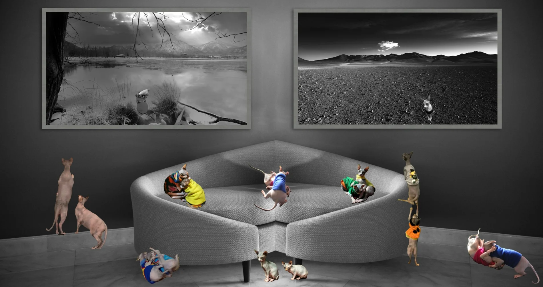 Limited edition black and white landscape fine art print for luxury interior design.