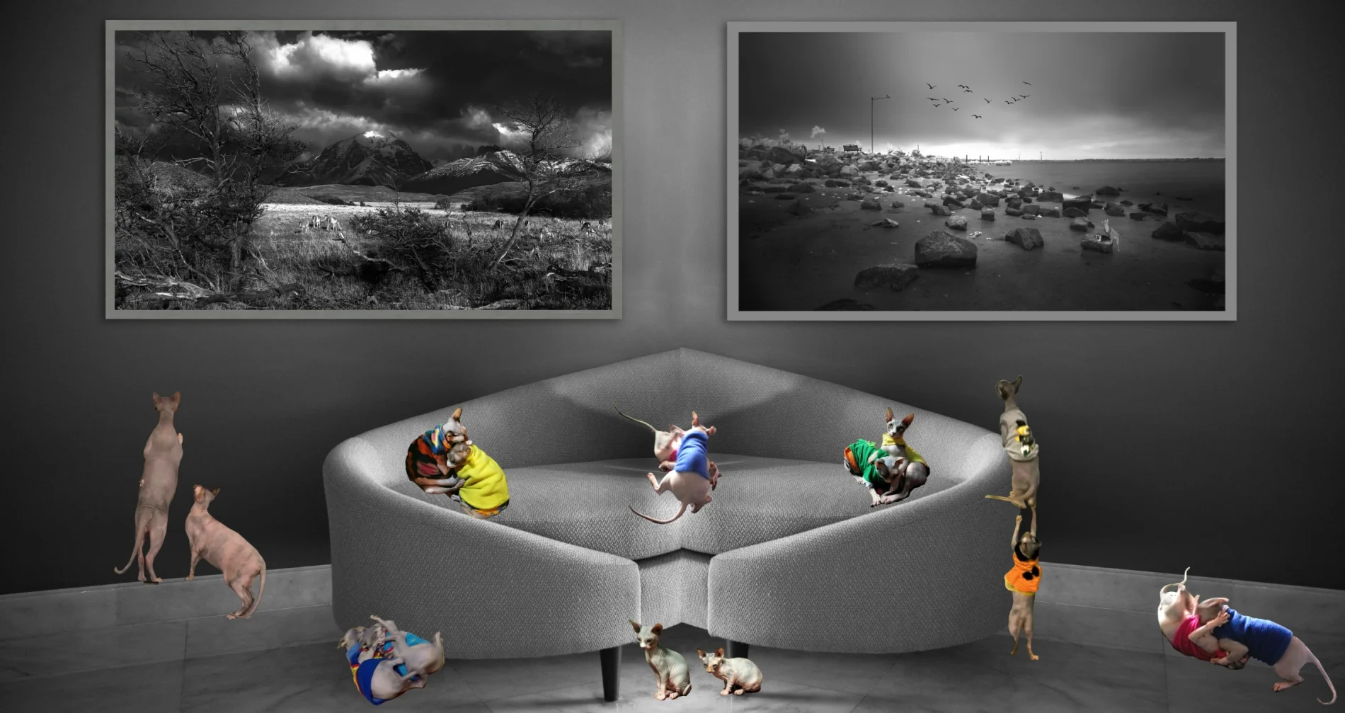 High-resolution black and white fine art landscape photography featuring ethereal textures - using Glicee fine art prints.