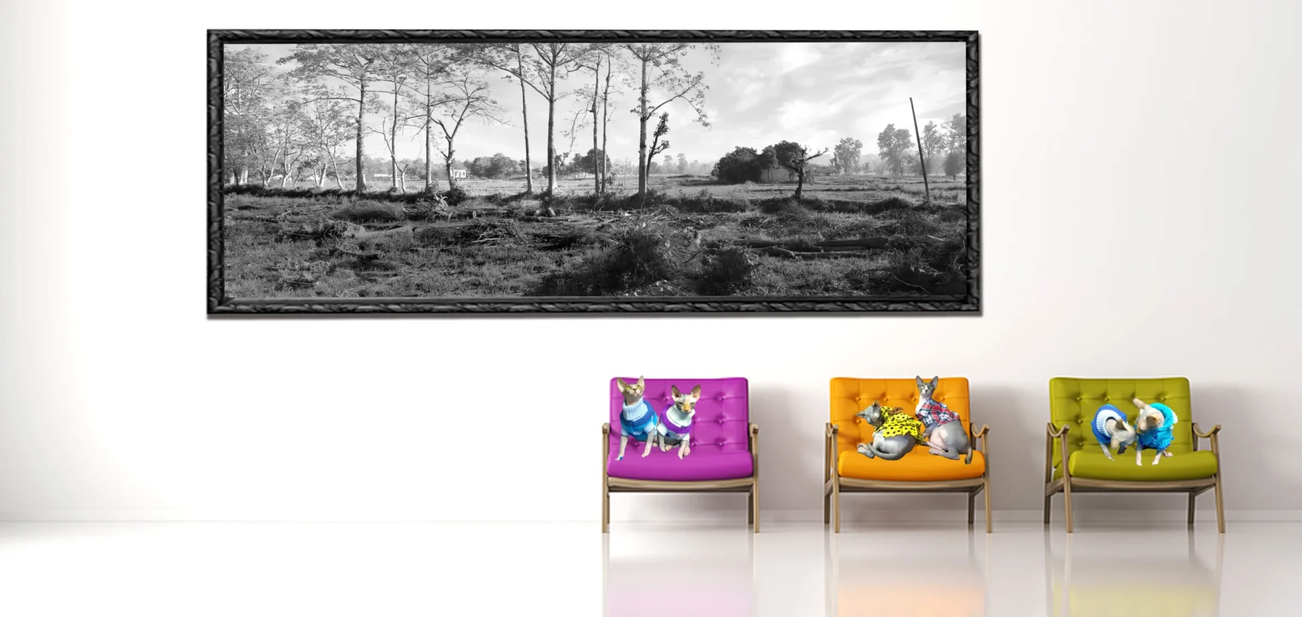 Black and White Panoramic Photos, Black & White Panoramic Photography, Panoramic Landscape Black White Photos, Black & White Landscapes Wall Art