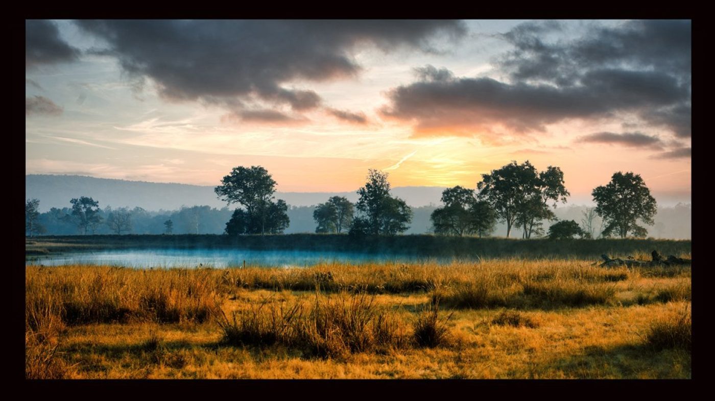 Business and Trade Discount for Fine Art