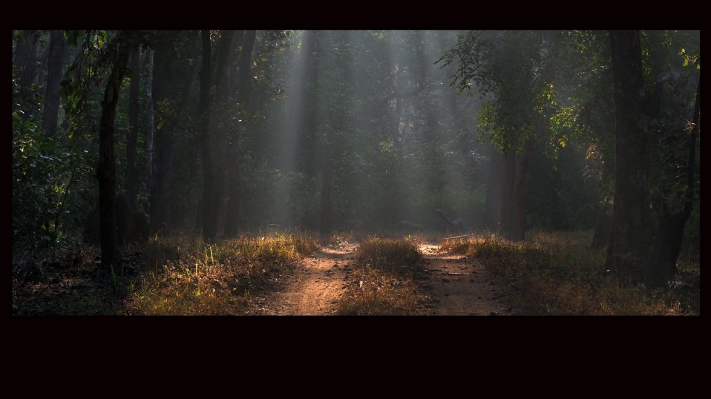 Healthcare Art for Hospitals, Dental Clinics, Medical Spaces, Hospital Art, Dental Clinic art, medical clinic art