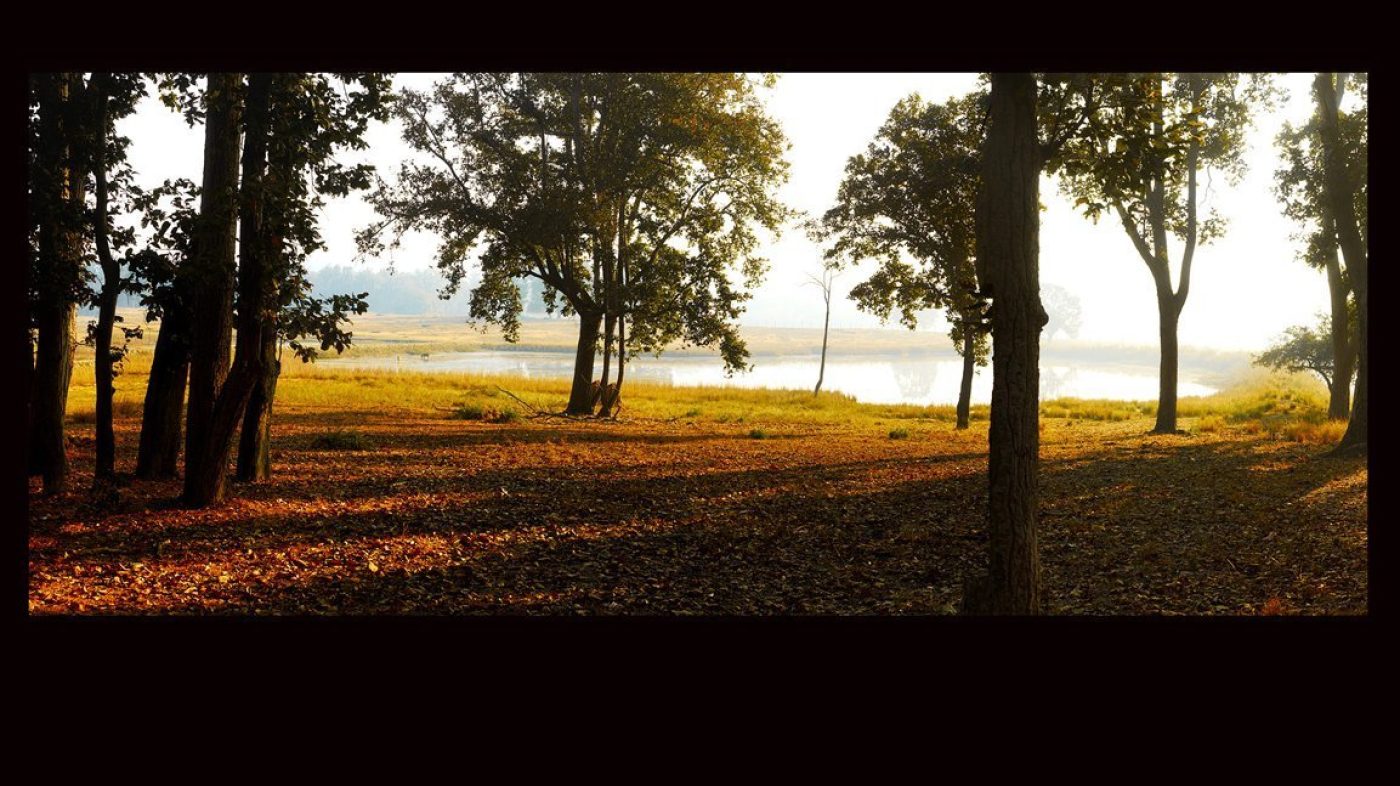 Healthcare Art for Hospitals, Dental Clinics, Medical Spaces, Hospital Art, Dental Clinic art, medical clinic art