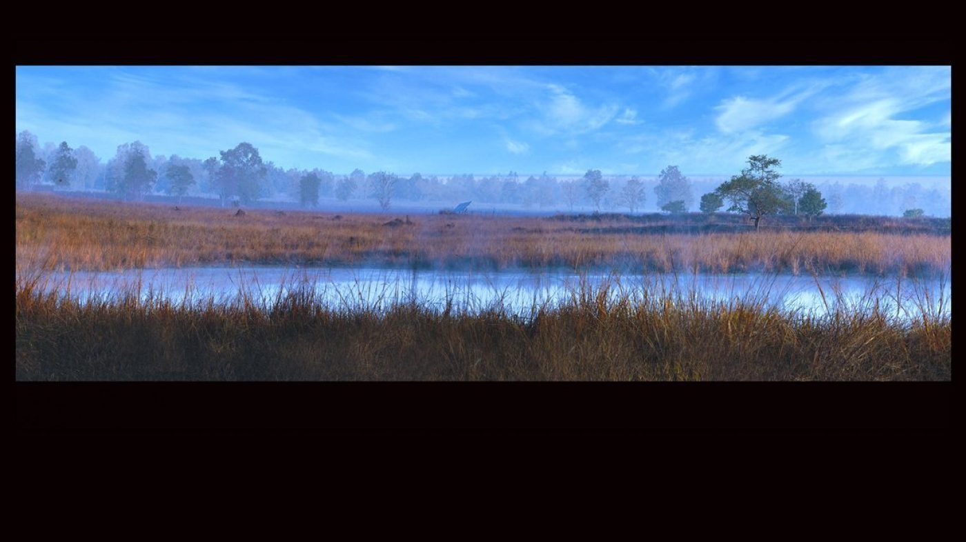 Healthcare Art for Hospitals, Dental Clinics, Medical Spaces, Hospital Art, Dental Clinic art, medical clinic art