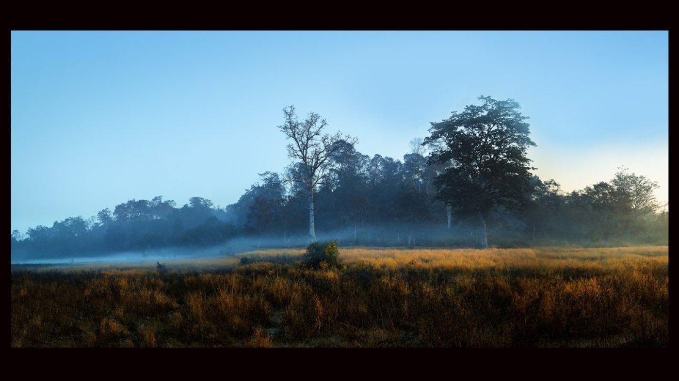 Healthcare Art for Hospitals, Dental Clinics, Medical Spaces, Hospital Art, Dental Clinic art, medical clinic art