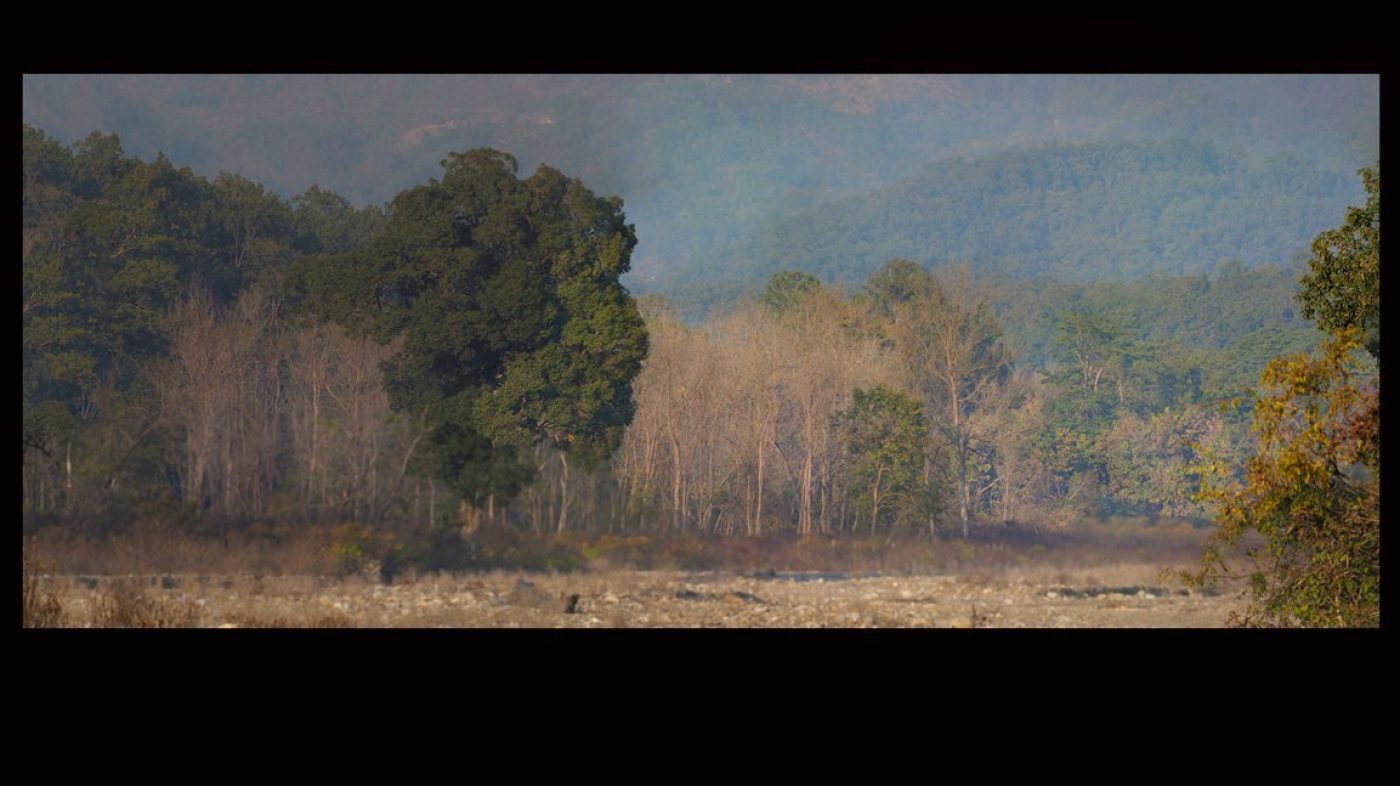 Healthcare Art for Hospitals, Dental Clinics, Medical Spaces, Hospital Art, Dental Clinic art, medical clinic art