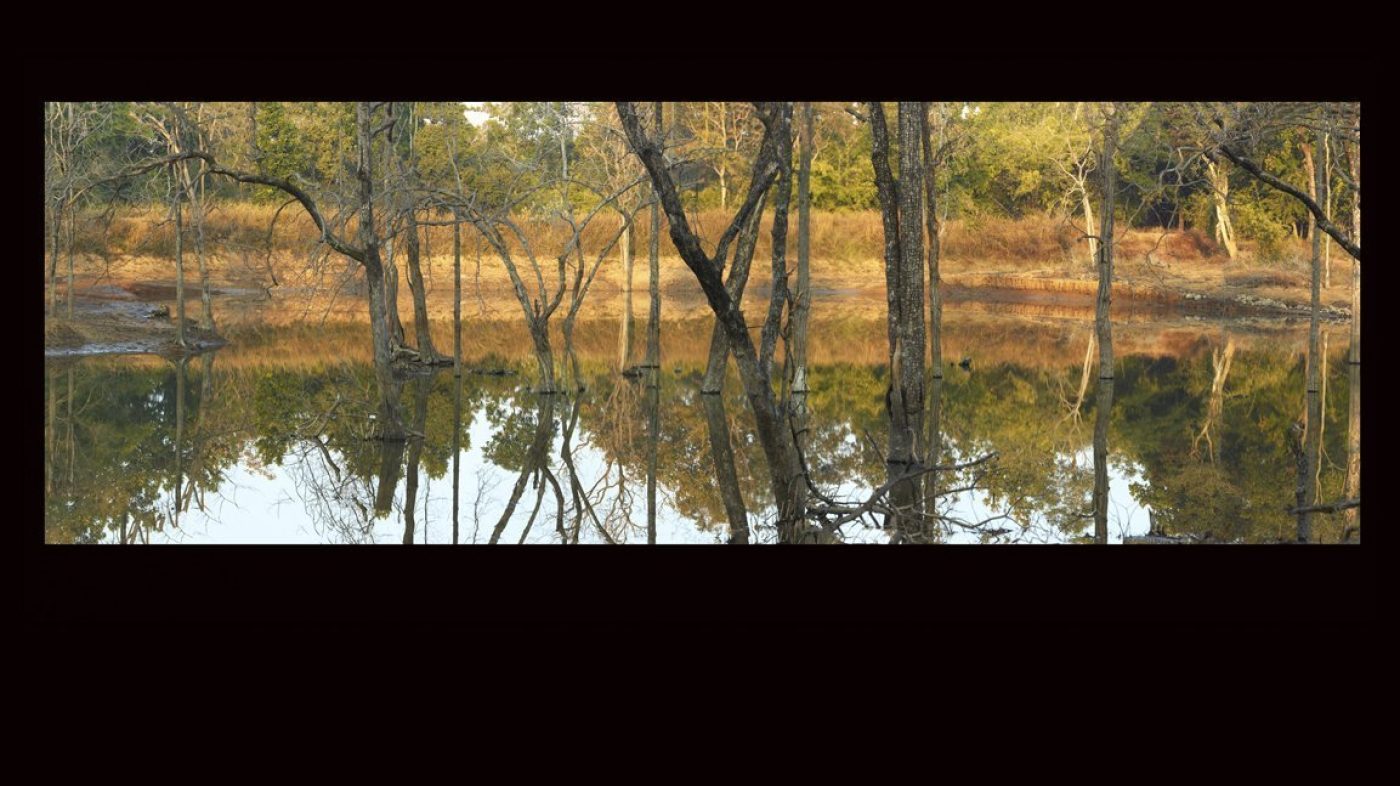 Buy Luxury Premium Fine Arts and Photographs for sale Melbourne Australia by Cosmetic Dentist in Melbourne, Dr Zenaidy Castro. Black and White photographs for sale