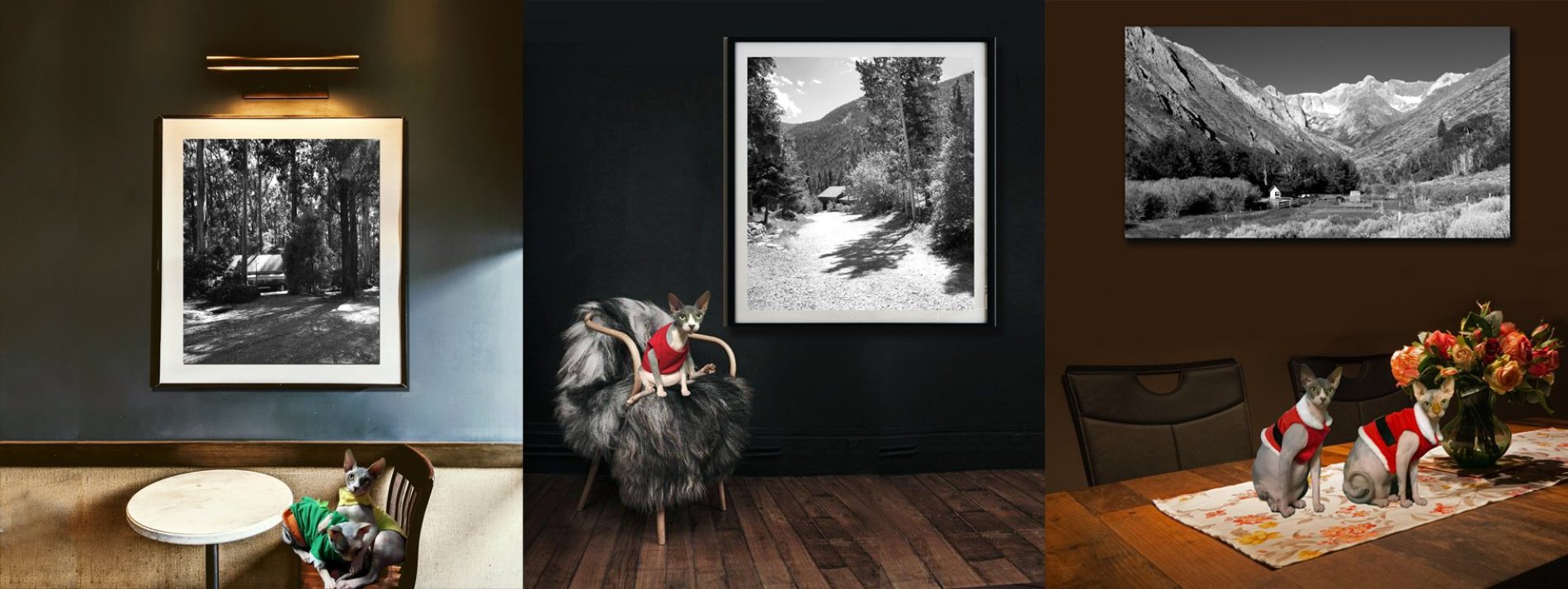 Buy Luxury Premium Fine Arts and Photographs for sale Melbourne Australia by Cosmetic Dentist in Melbourne, Dr Zenaidy Castro